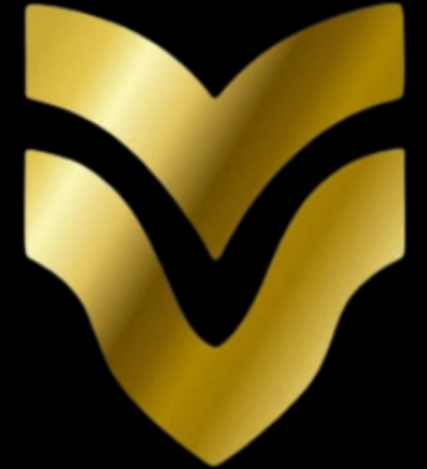 Veltris V emblem